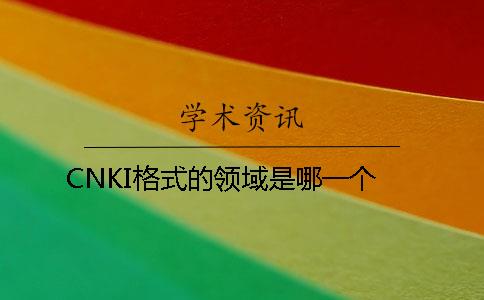 CNKI格式的领域是哪一个？？
