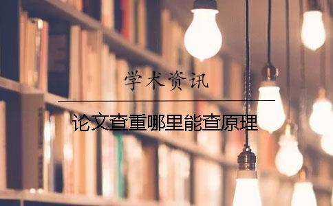 论文查重哪里能查原理