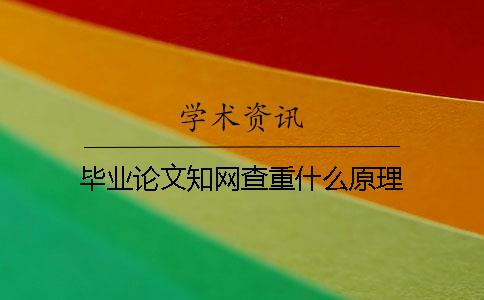 毕业论文知网查重什么原理