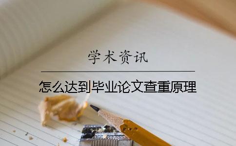怎么达到毕业论文查重原理
