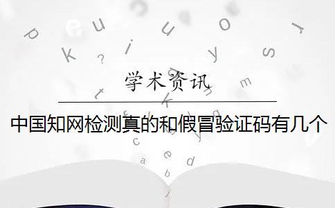 中国知网检测真的和假冒验证码有几个