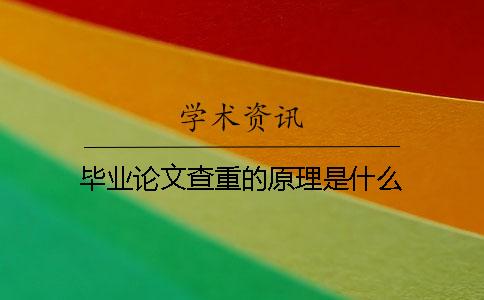 毕业论文查重的原理是什么