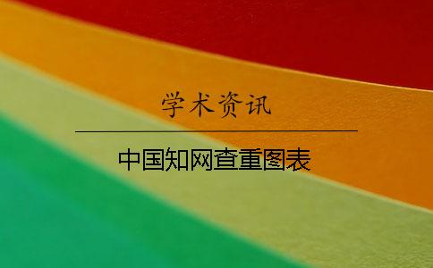 中国知网查重图表