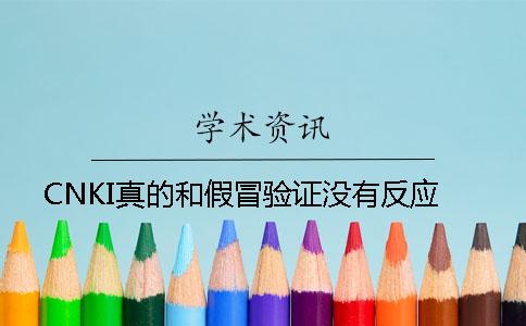 CNKI真的和假冒验证没有反应